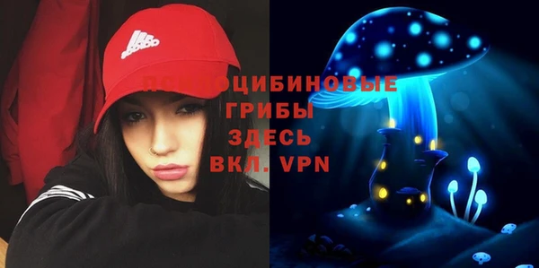 СК Белокуриха