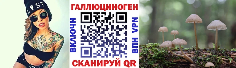 Галлюциногенные грибы прущие грибы  Высоцк 